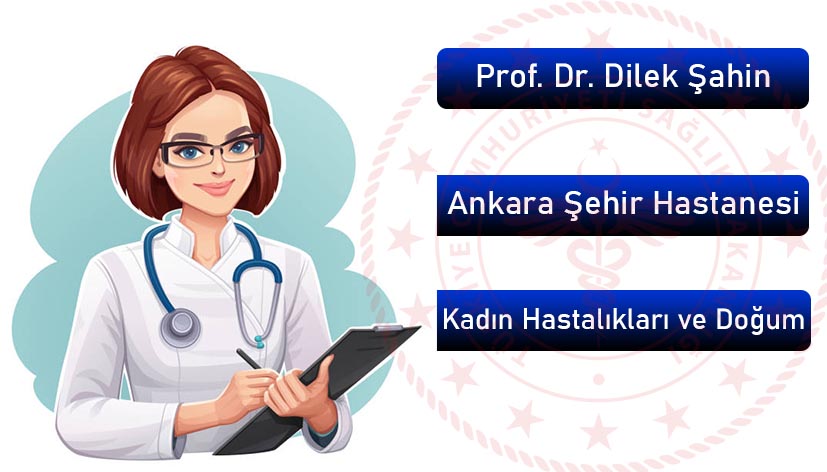 Prof. Dr. Dilek Şahin
