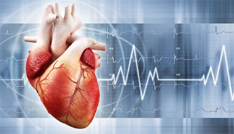 Bursa Şehir Hastanesi Kalp Damar Cerrahisi Doktorları